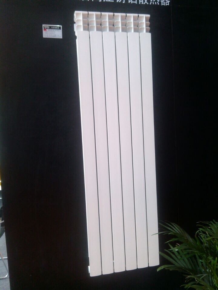 ���T�Xů��Ƭ