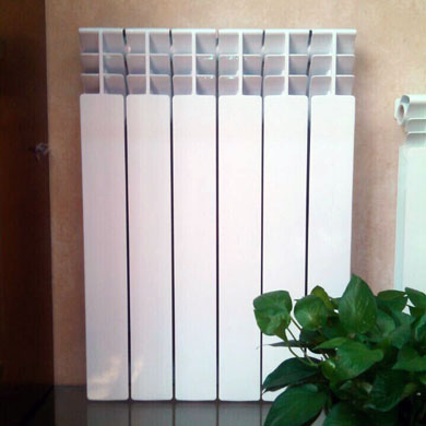 ���T�Xů��Ƭ